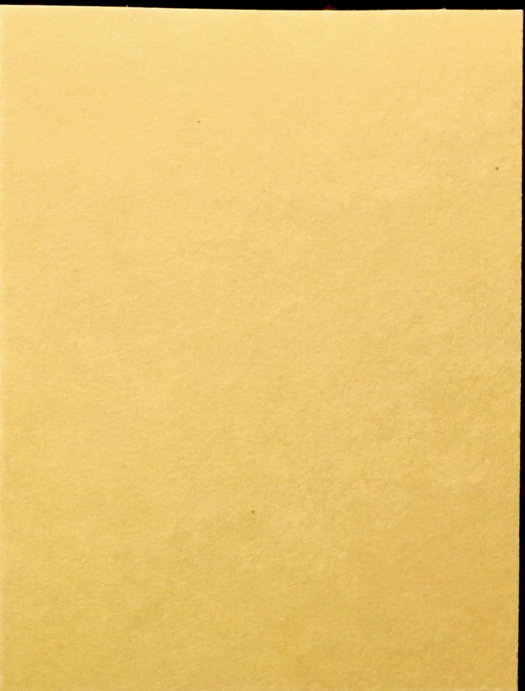 1991 Red Foley  97 back image